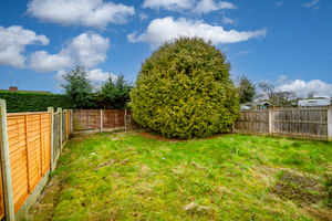 GARDEN- click for photo gallery